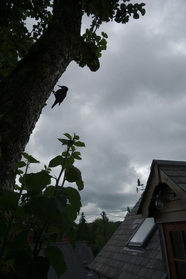 The Roost Leilighet Semley Eksteriør bilde